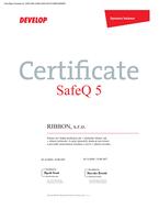 SAFE-Q 5